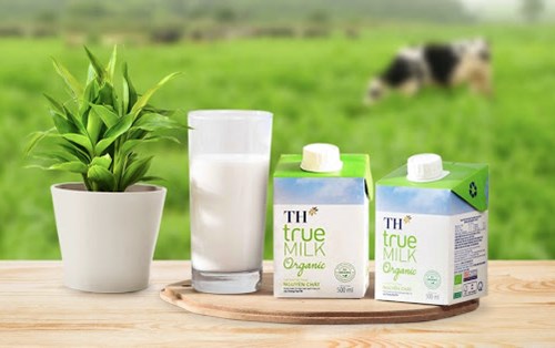 Tập đoàn TH tuyển dụng
